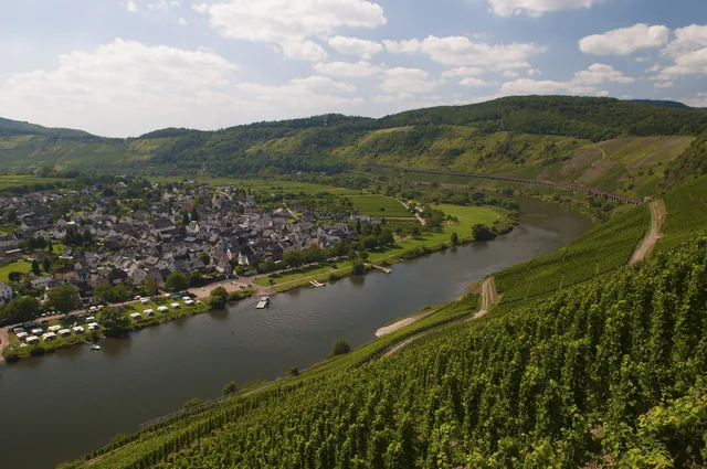 Blick über die Mosel und Weinberge bei Pünderich.